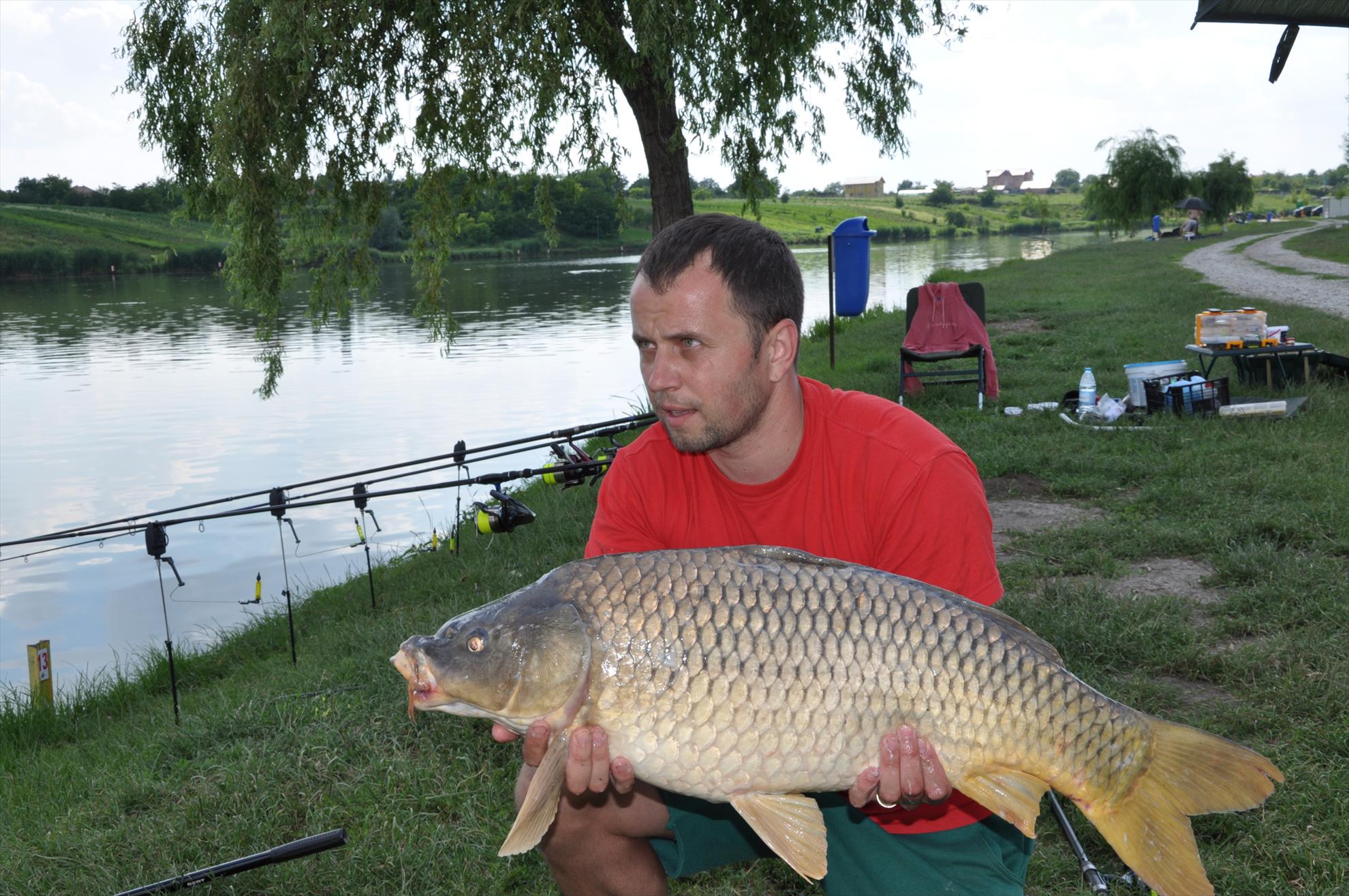 MV 2/3- 09/06/2013 - dsc0052.JPG